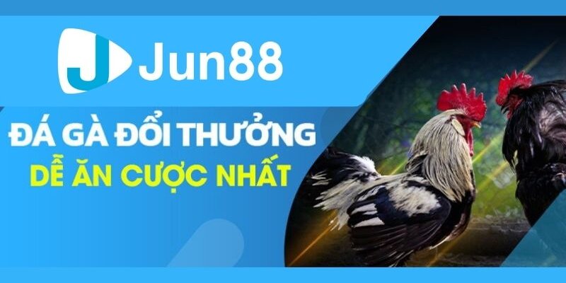 Đá Kê JUN88 mang đến cho bạn nhiều sự trải nghiệm mới mẻ