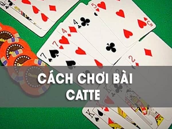 Mẹo chơi game Catte 6 lá cho người mới