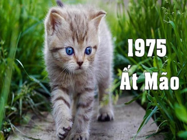 Giải mã con số may mắn tuổi Ất Mão ngày 30/10/2025